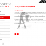 Разработка сайта фитнес клуба n-dorfin