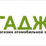Логотип сайта автоэлектроники