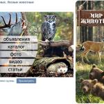 Дизайн группы о лесных животных
